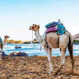 Nubian Village & Felucca Sunset – 1 Day Tour from Aswan