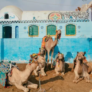 Nubian Village & Felucca Sunset – 1 Day Tour from Aswan