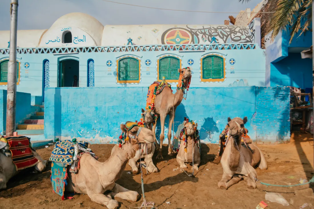 Nubian Village & Felucca Sunset – 1 Day Tour from Aswan